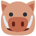 Boar