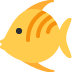 Tropical Fish