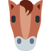 Horse Face