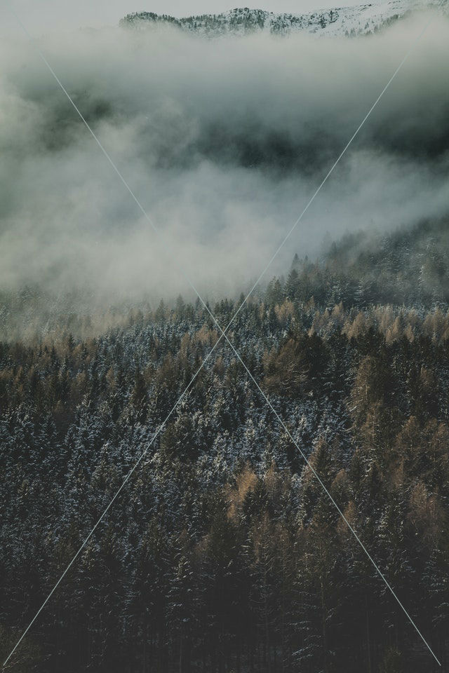 aerial shot birds eye view fog